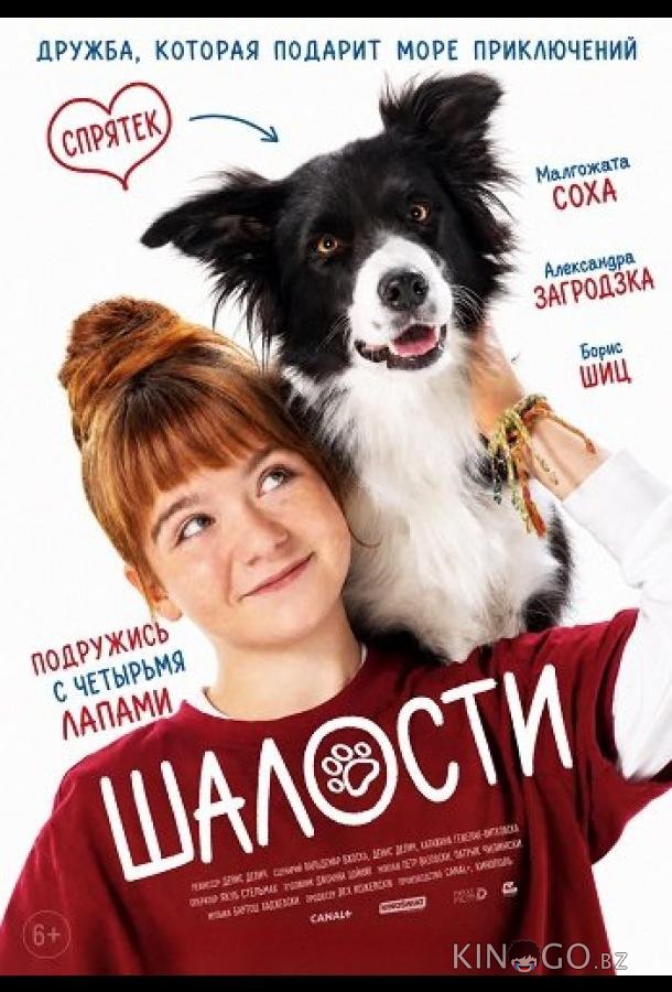 Шалости 