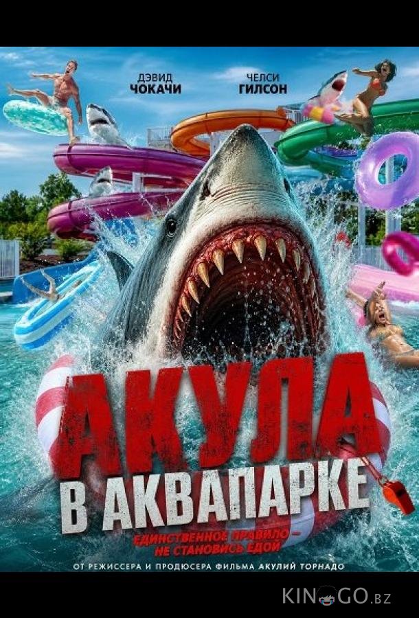 Акула в аквапарке 