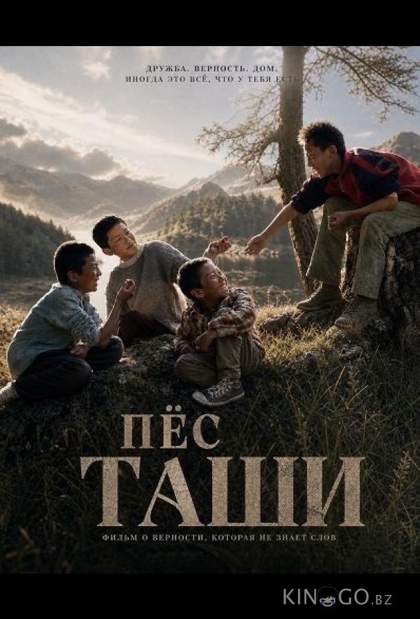 Пёс Таши 